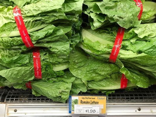 Lettuce Know: Responses to the E Coli Outbreak